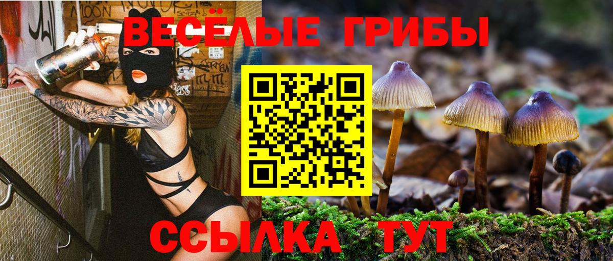 Псилоцибиновые грибы Psilocybine cubensis  Вход с VPN  Спасск-Дальний 